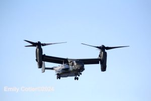 IMG_6999