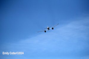 IMG_8333