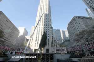 BRU_1765