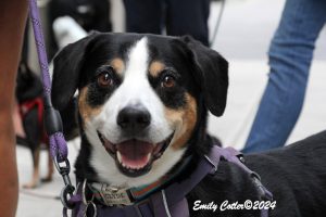 IMG_1340