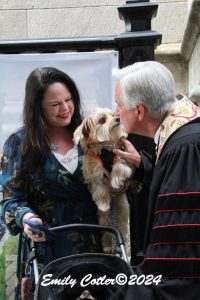 IMG_1371