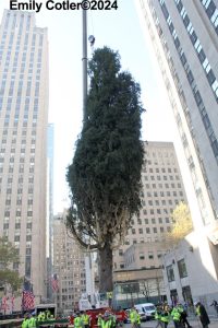 IMG_4397